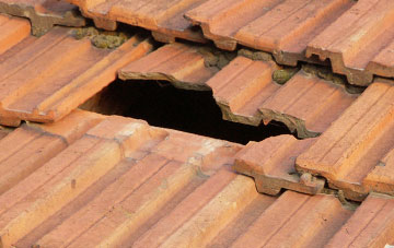 roof repair Putton, Dorset