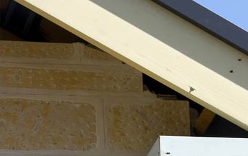 soffit repair Putton